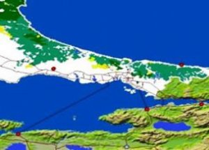 İki Dev Orman Geliyor!