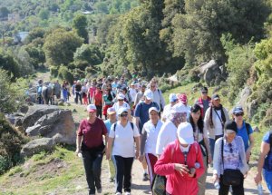Obezetiyle Mücadele İçin Yürüdüler