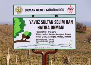Yavuz Sultan Selim Han için orman kuruldu