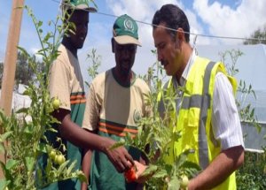 Türkler Somali'de Bir İlki Gerçekleştirdi