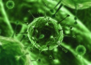 Virüsten Ölenlerin Sayısı 142'ye Yükseldi