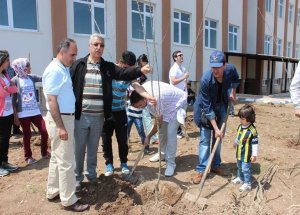 Gevaş’ta Fidan Dikimi