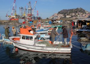 Sezon Da Bitti, Balıkta
