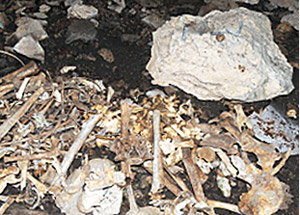 76 Yıl Sonra Kemiklere Ulaştı