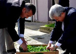 Aydın’dan Karpuzculuk Atağı