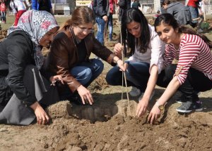 Bostaniçi'nde Ağaçlandırma Çalışması