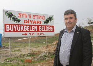 Zeytin Üreticisine “Sit” Şoku