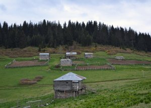 Yıllardır Elektriğe Kavuşacağı Günü Bekliyor
