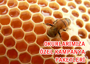 İşte GÜLŞİFA BAL'ın Üçlü Güvencesi