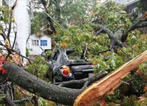 ABD'yi Kasırga Vurdu!