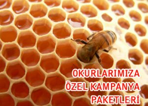 Gülşifa Bal'dan Sezon Sonu İndirimi!
