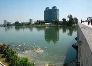 Seyhan Nehri'nde Kirlilik