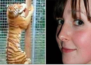 Kaplan, bakıcısına saldırdı