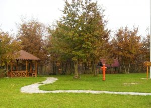 Sakarya’yı Yaşayarak Öğrenecekler
