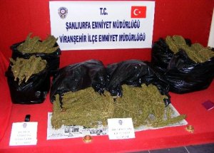 46 Kilogram Esrar Ele Geçirildi