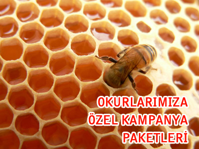 Güvenilir Balda Sezon Sonu Fırsatı