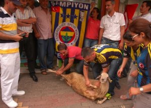 Aykut Kocaman İstifa Etti Diye Kurban Kestiler