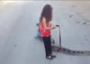 Küçük Kız Dev Yılanı Köpek Gibi Gezdirdi