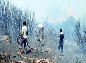 Bodrum'da Yangın