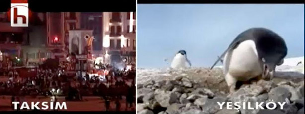 Halk TV'de Erdoğan Yerine Penguen