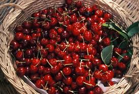 Türk Kirazı,Liderliğe Koşuyor