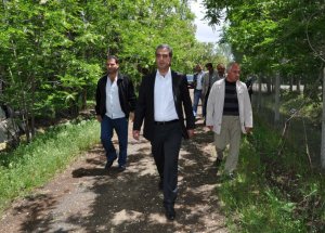 Muş’ta 1071 Dekar Alan Ağaçlandırılacak