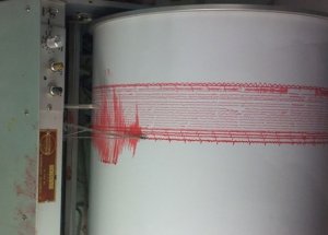 Van'da 4,6 Şiddetinde Deprem Oldu