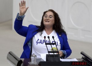 Mecliste Bir Çapulcu