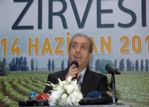 Süt, zeytinyağı ve organik tarımın destek primleri arttı