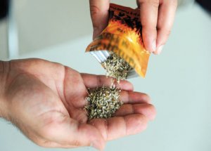 Sanal Torbacılar İnternette Kol Geziyor