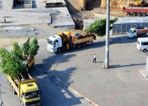 Gezi Parkı'na yeni ağaçlar dikiliyor