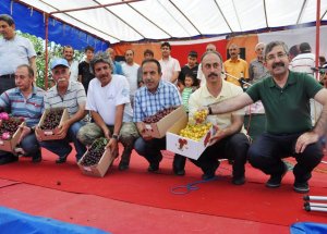 Kirazlar Birincilik İçin Yarıştı