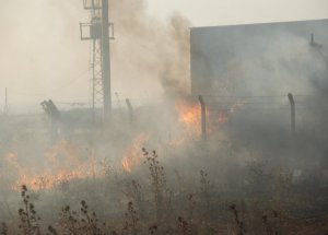 Didimde Otlak Yangını Kokurttu