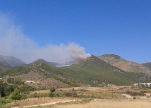 Anamur’da Orman Yangını