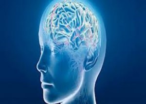 "Beyninizi Değiştirin, Hayatınız Değişsin"