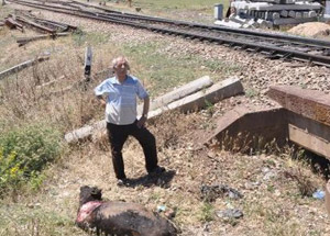 Yolcu Treni Sığır Sürüsüne Çarptı