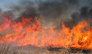 Yangın'da 19 İtfaiyeci Öldü!