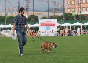 Köpek Irkları Nilüfer’de Yarıştı