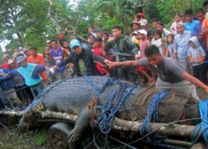 2012'nin En Önemli 10 Keşfi