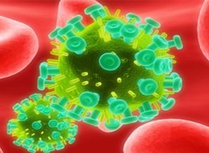 Kemik iliği nakli AIDS'e çare mi?