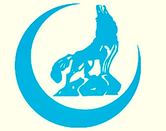 Ülkücüler "Bilgi"de Yarıştı