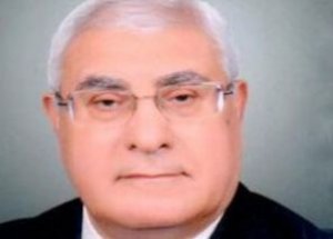 Mısır'da Geçici Cumhurbaşkanı Yemin Etti