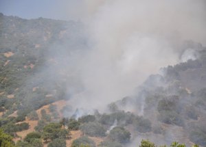 Kuyucak’taki Orman Yangınına Müdahale Sürüyor