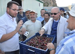 Kiraz Festivali Futbol Turnuvası Pazartesi Günü Başlayacak