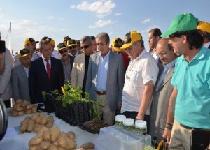 Bir milyona yakın hayvan ırkı ıslah edildi