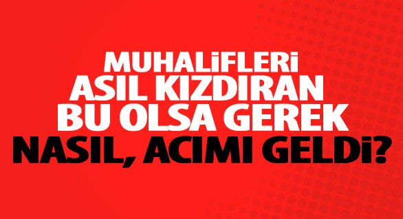 TOMA-NAME Tepkileri