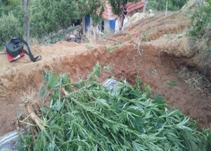 Diyarbakır'da Dev Uyuşturucu Operasyonu