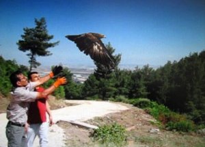 Tedavi Edilen Kartal Doğa'ya Bırakıldı
