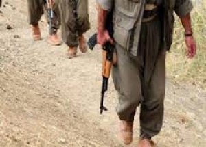 PKK Yine İşçi Kaçırdı!