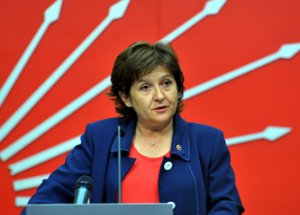 CHP Milletvekili Güler: Mısır'daki Darbe Değil